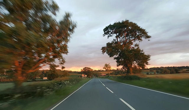 Free Driving Road photo and picture