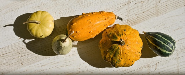 Free Pumpkins Decorative photo and picture