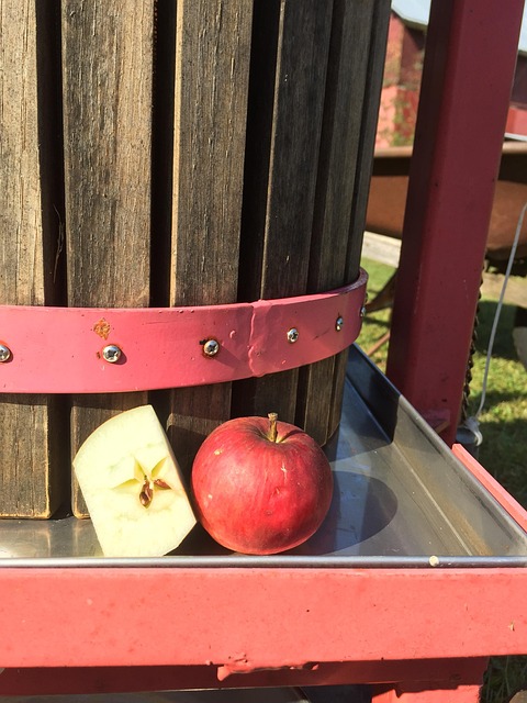 Free Apple Cider photo and picture