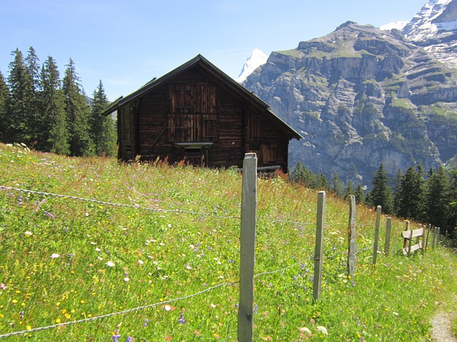 Free Alps Lodge photo and picture