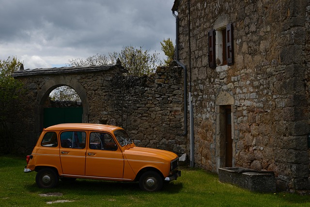 Free Duck France photo and picture