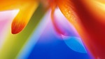 color, beautfull, nice