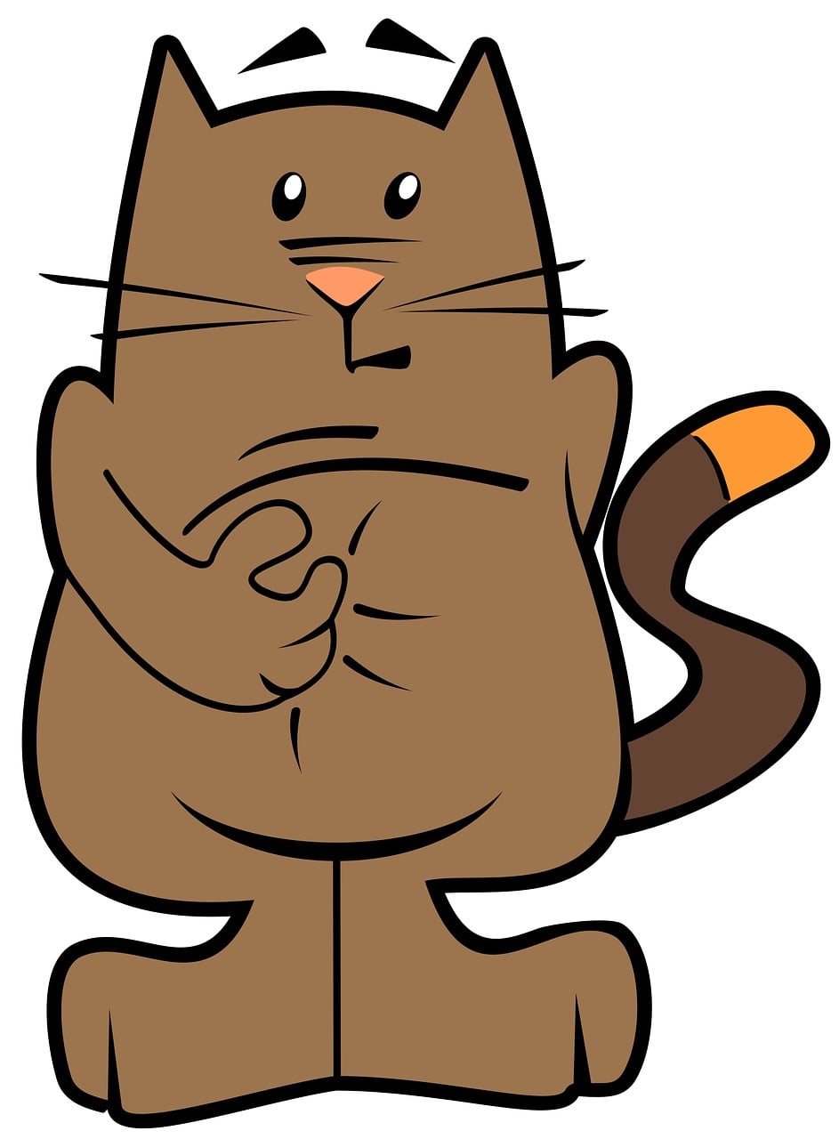 900+ Free Cartoon Cat & Cat Images - Pixabay