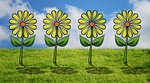 different, flower bed, flowers