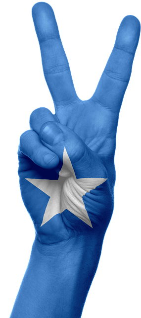 Somalia, Steag, Mână, Naţional, Degete