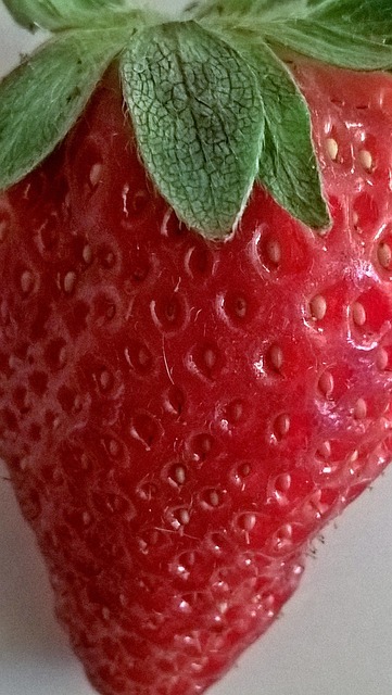 Fragola