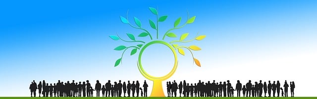 Free tree branches tree trunk illustration
