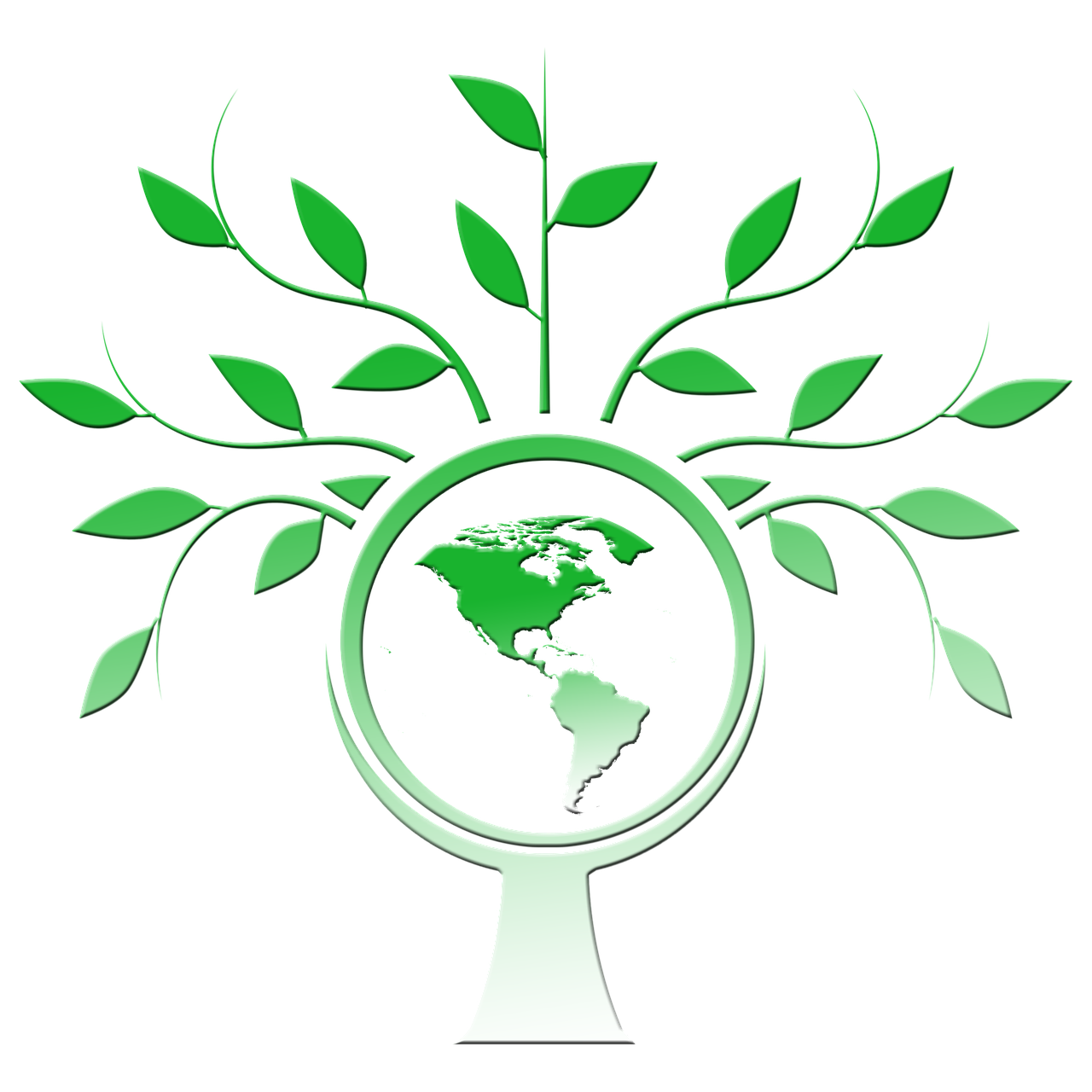 Free tree branches tree trunk illustration