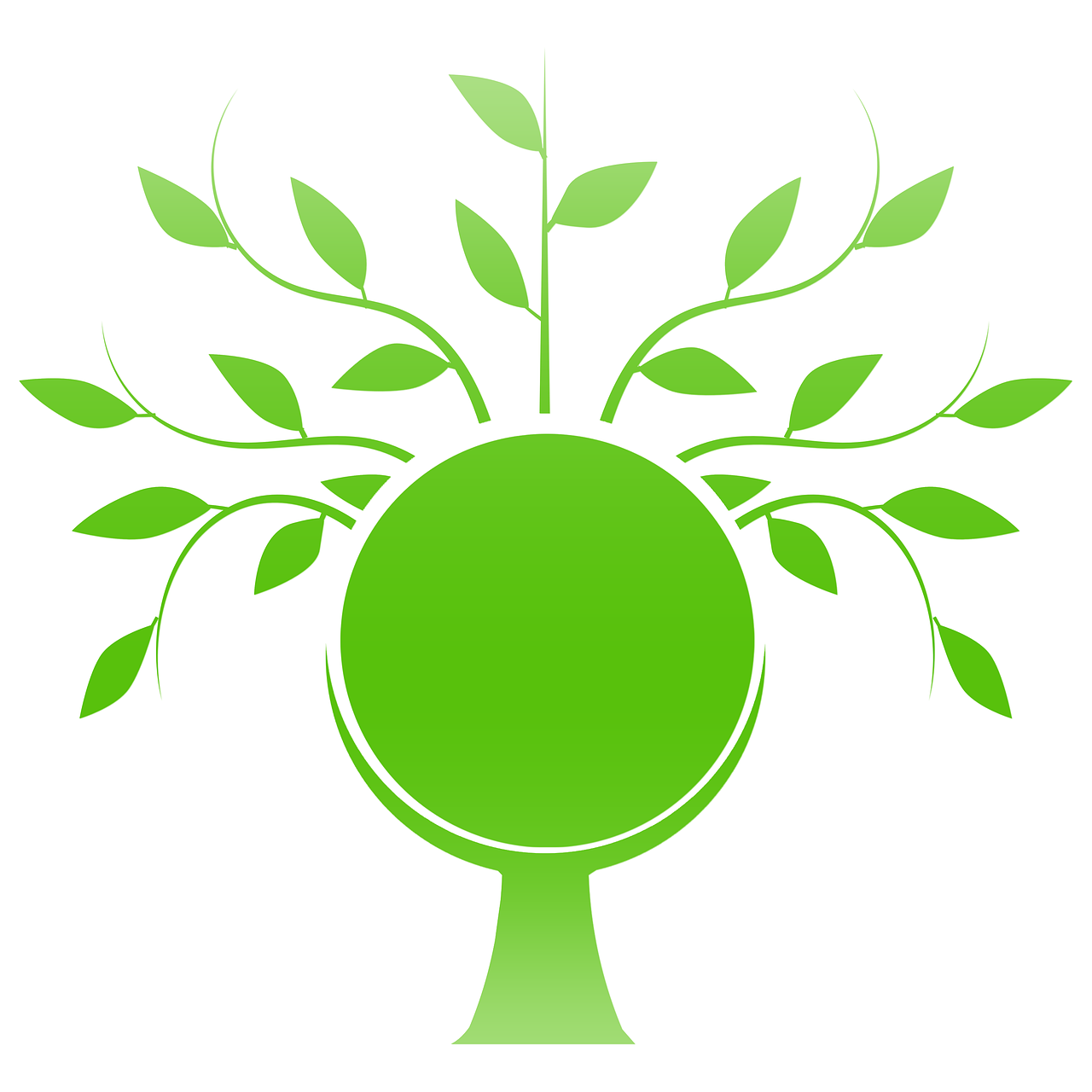 Download free HD stock image of Tree Branches Free tree branches tree trunk illustration