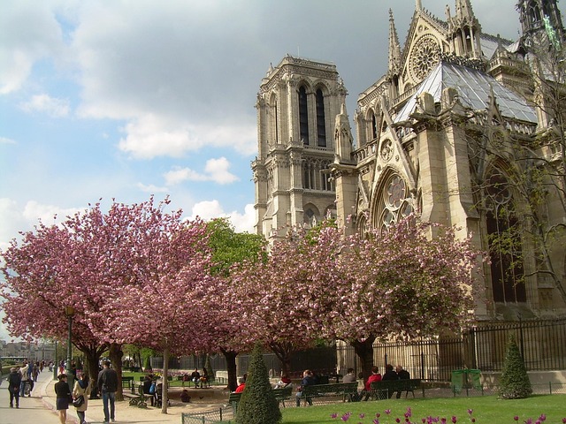 Free Paris France photo and picture