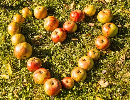 Heart, Apple, Rush, Fruit, Love, Eat