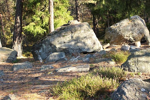 Free Forest Stones photo and picture