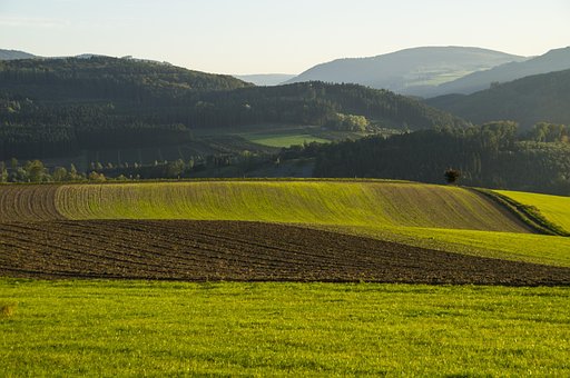 Campo Herbáceos Semillas La Siembra De Inv