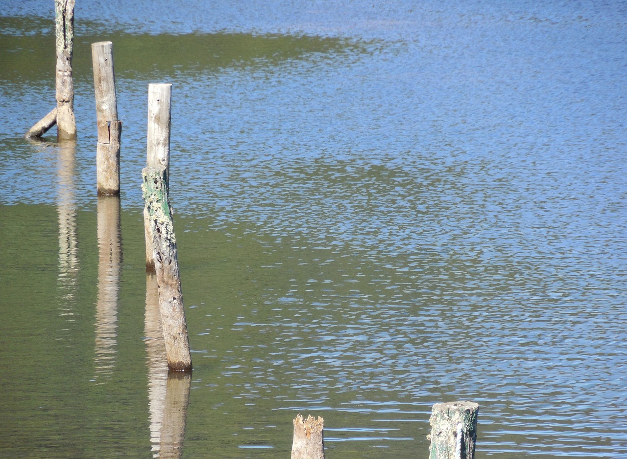 Lake - free online jigsaw puzzle photo