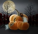 pumpkins, hallowenn, night