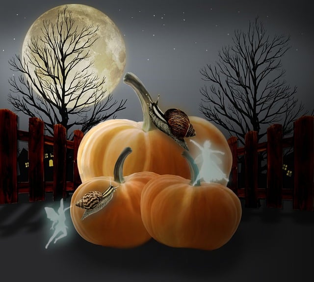Free pumpkins hallowenn night illustration