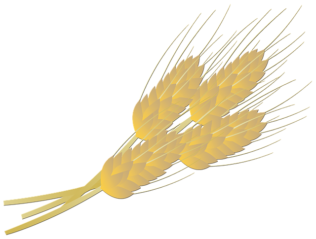 Download free HD stock image of Wheat Bread Free wheat bread farm illustration