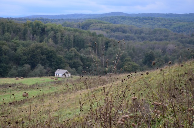 Free House House In The Mountains photo and picture