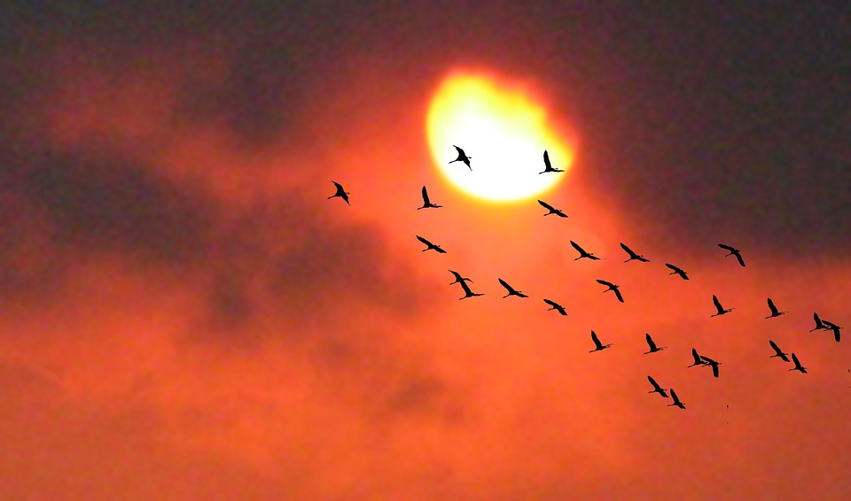 https://cdn.pixabay.com/photo/2015/10/17/11/32/west-992419_960_720.jpg