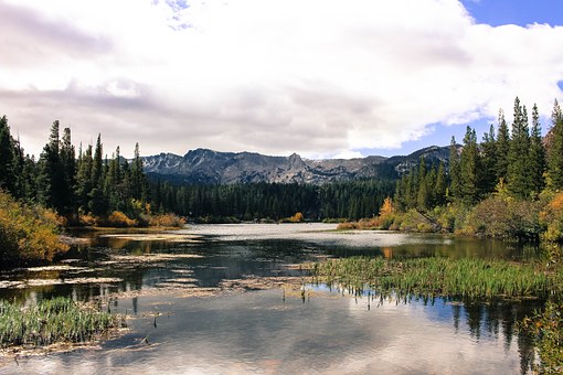 Free Lake Scenery illustration and picture