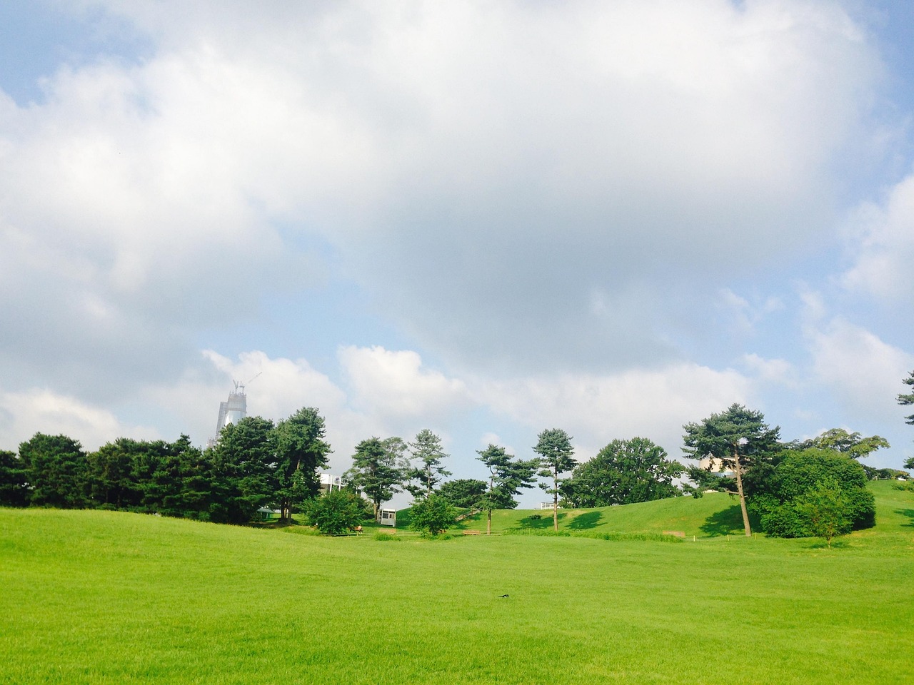 ソウルオリンピック公園 オリンピック公園 一人の木 Pixabayの無料写真 ソウルオリンピック公園 オリンピック公園 一人の木 Pixabayの無料写真