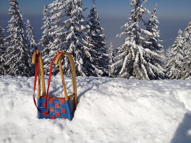 Winter Toboggan Snow White - Free photo on Pixabay