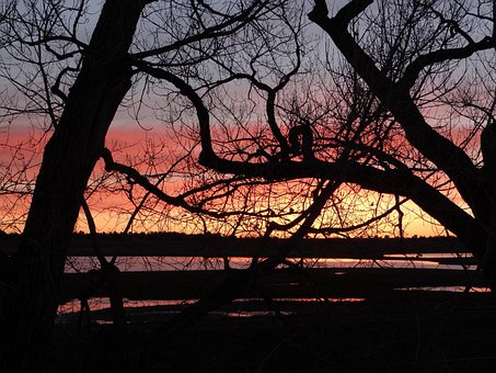 Baumwollhölzer, Sonnenaufgang, Himmel