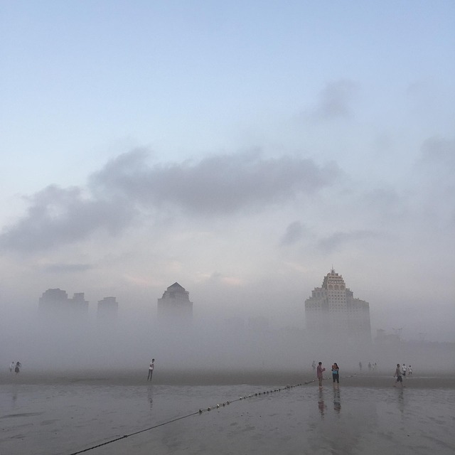 Free Heavy Fog Early Morning photo and picture