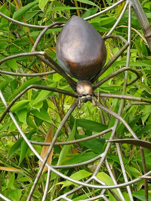 Free Spider Sculpture photo and picture