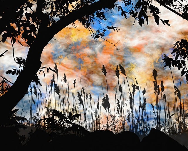Free landscape sunset sky illustration