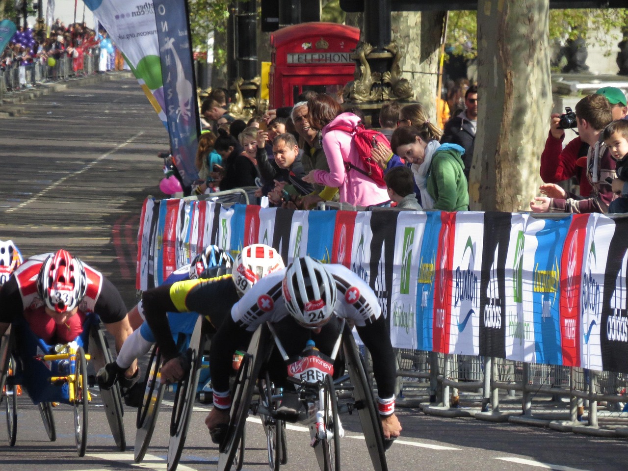 Resilient Races 100+ Free Resilience & Nature Images - Pixabay