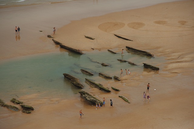 Free Beach Nature photo and picture
