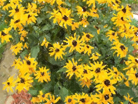 Free Daises Daisy illustration and picture