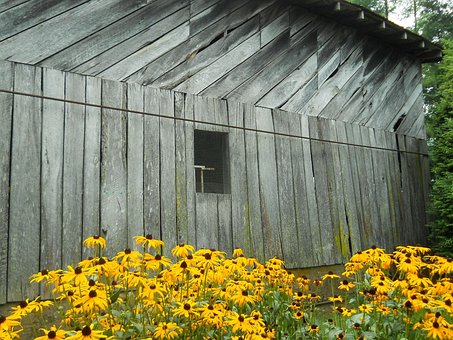 Free Barn Flowers photo and picture