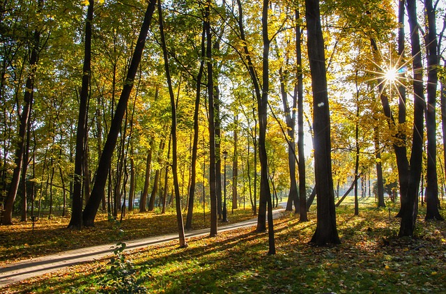 El Parque, Otoño, Ostankino