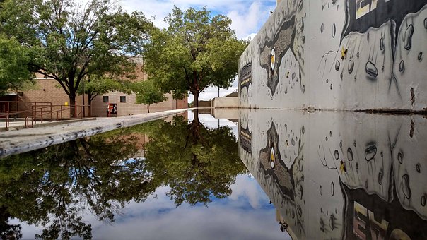 Free Reflection Tree photo and picture