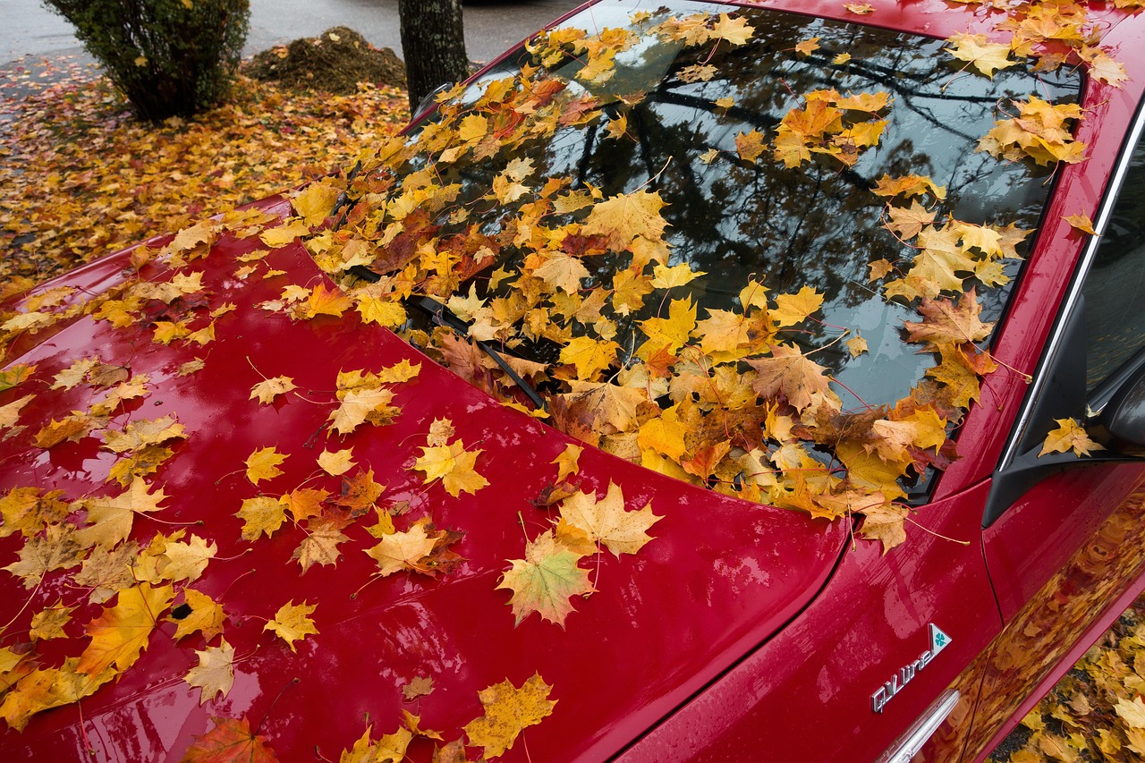 Automobile - free online jigsaw puzzle photo