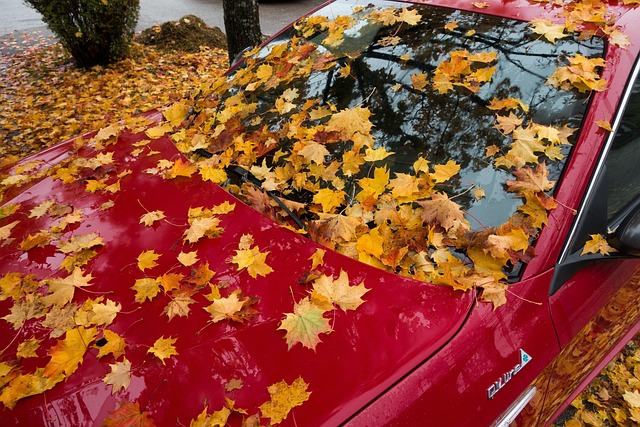 Free Automobile Alfa Romeo photo and picture