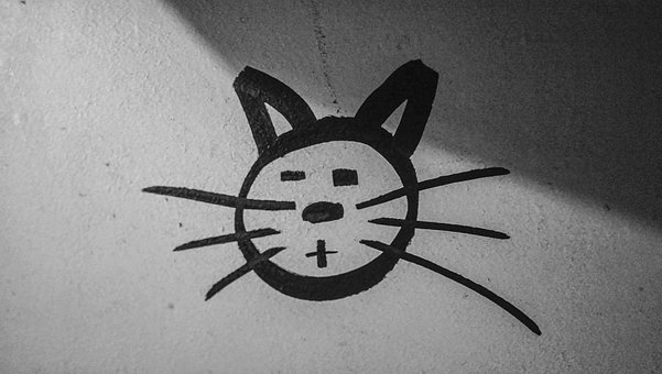 Free Cat Graffiti photo and picture