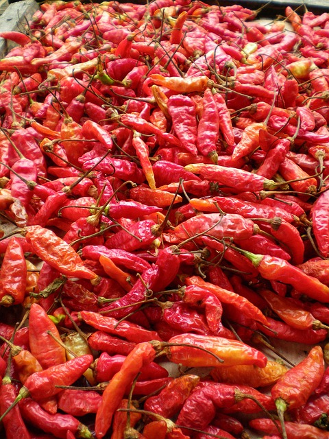 Free Spicy Red photo and picture