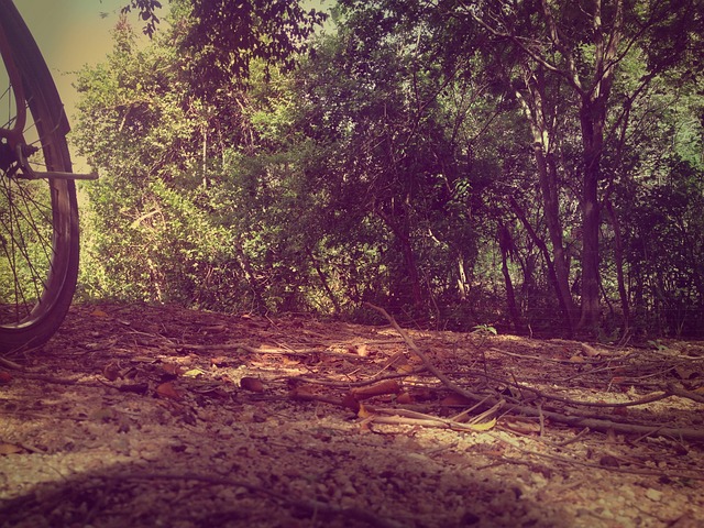 Free Nature Bike Trail photo and picture
