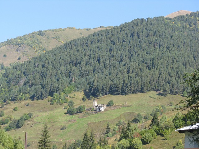 Montañas, Georgia, Paisaje, El Verano