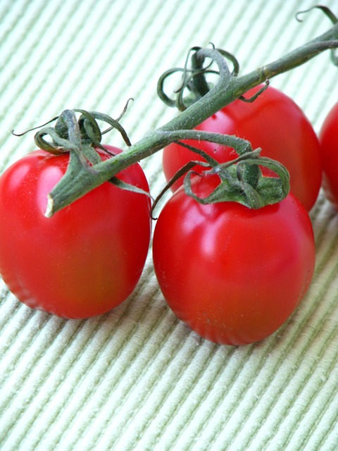Free Tomatoes Red photo and picture
