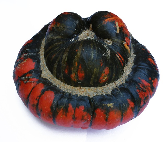 Kürbis, Herbst, Halloween, Ferien, Ernte