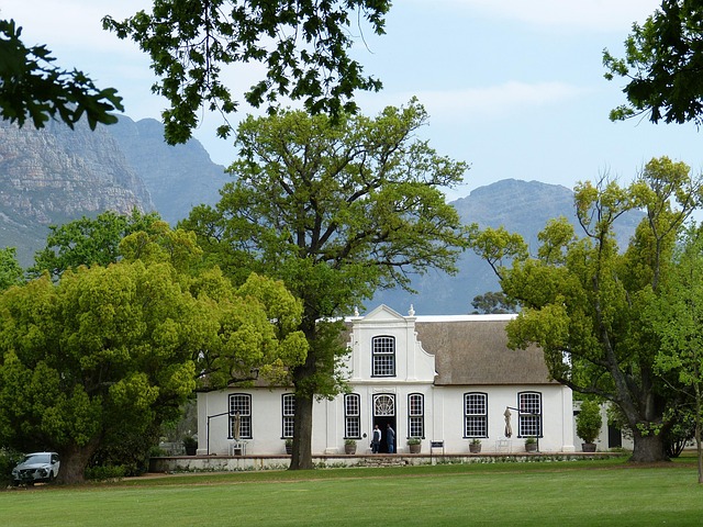 south africa, cape town, nature, mountains, landscape, winery, winemaker, stellenbosch, park, cape, cape dutch, thatched roof