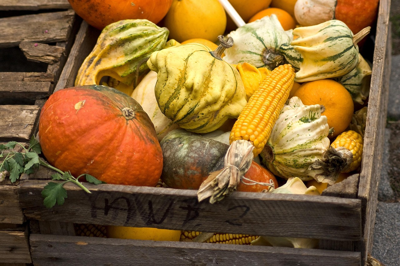 Free Pumpkins Corn photo and picture