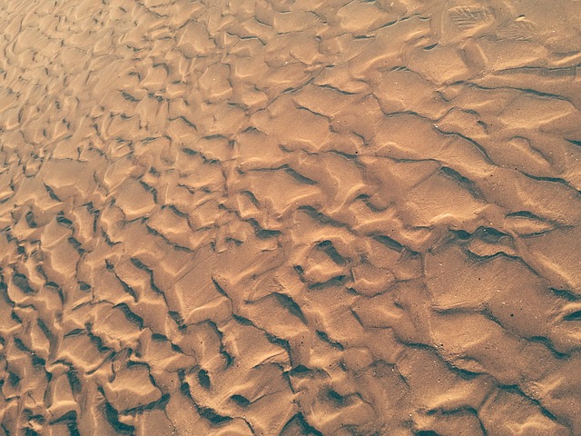 Free Beach Sand photo and picture