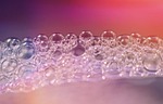 foam bubbles, vesicle, drop of water
