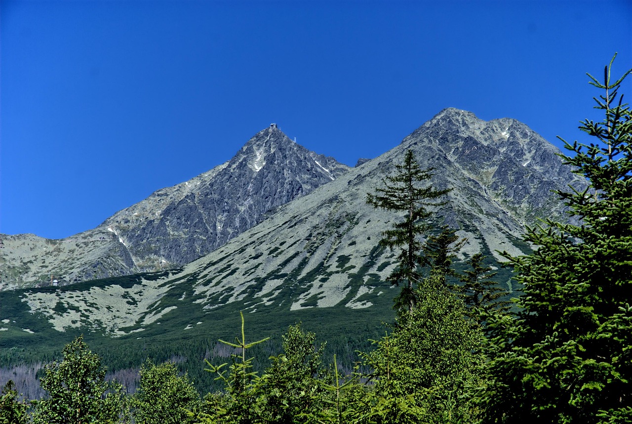 游千山攻略