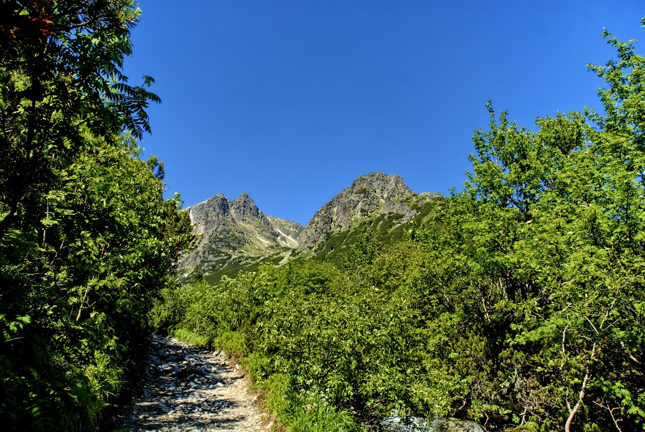 Tatry Slovakia Landscape Top - Free photo on Pixabay - Pixabay